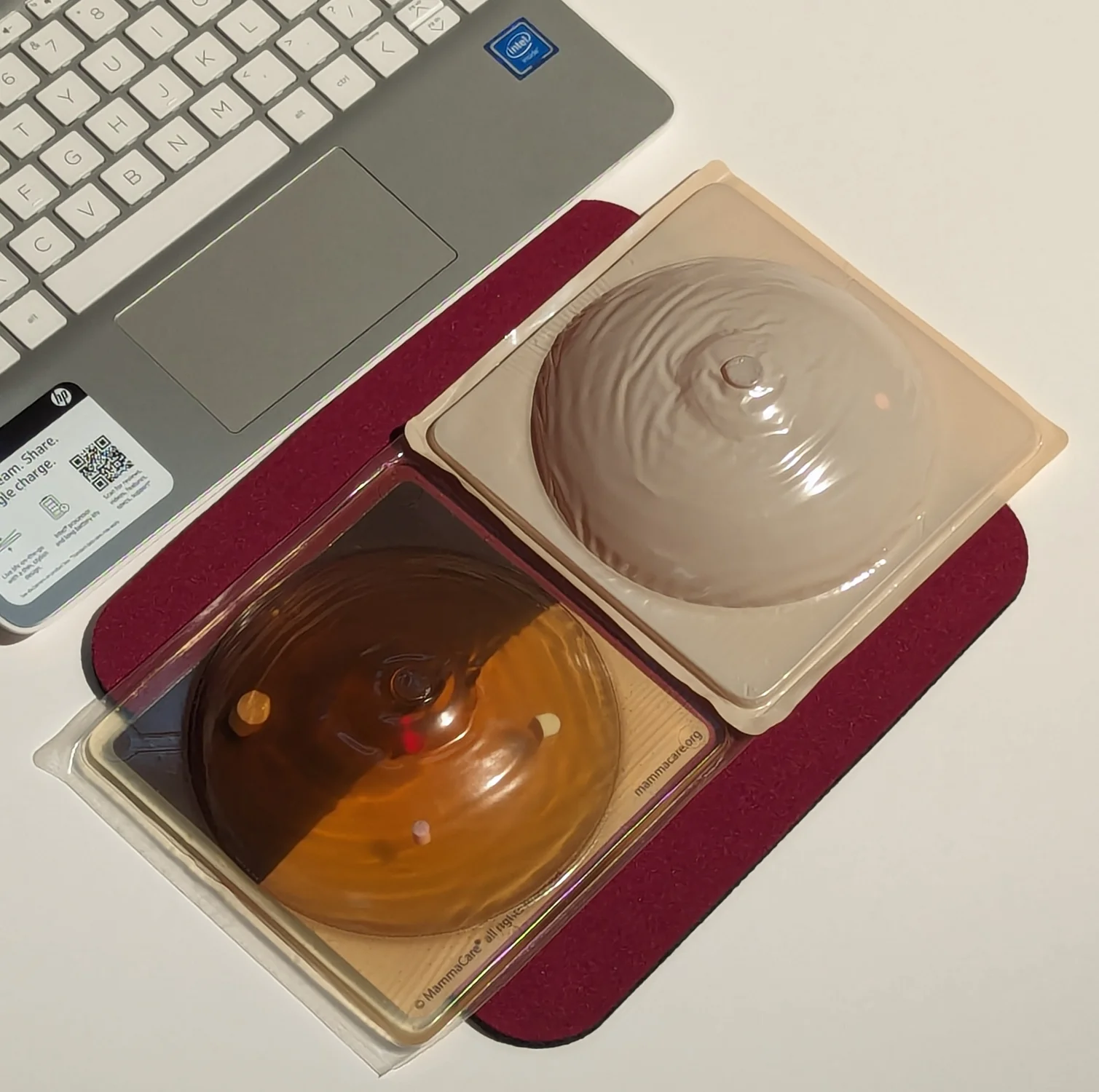 Two model breast training Kit for online pretraining activities.